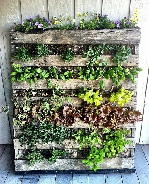 a reclaimed pallet vertical garden with herbs and blooms is a nice solution for a rustic garden or balcony