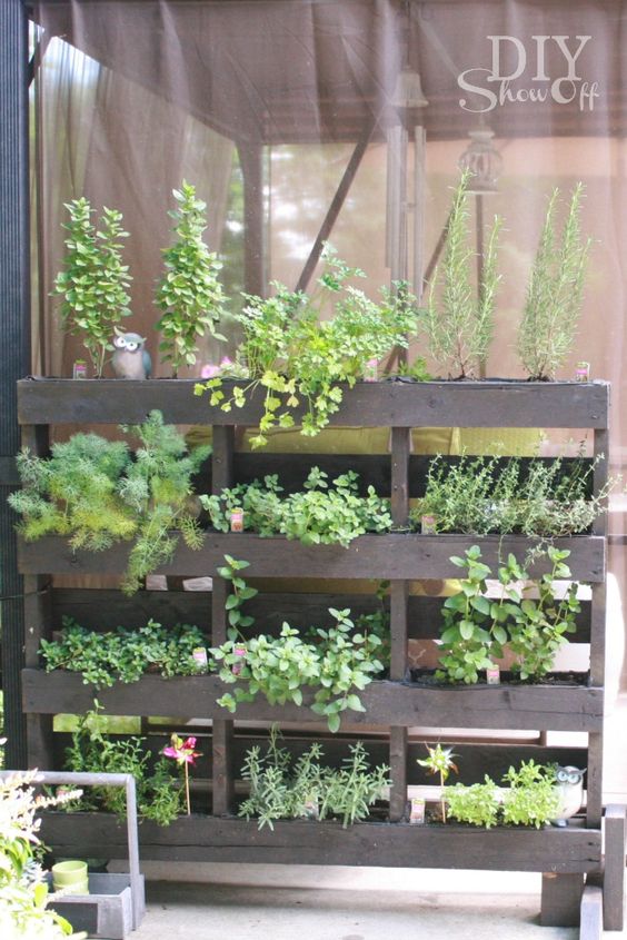 a reclaimed pallet vertical garden with various greenery and decor is a piece suitable for many outdoor spaces, balconies and gardens