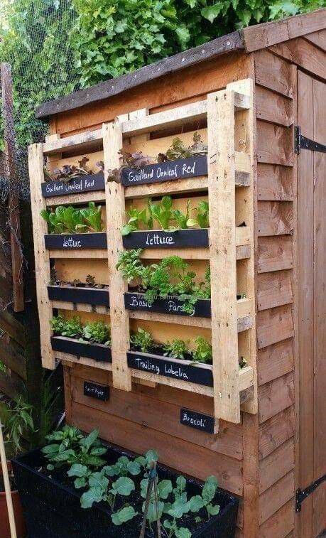 a rustic pallet garden with chalkboard touches and names can be attached to the wall, it's a great idea for many spaces