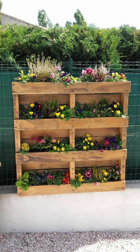 a stained pallet garden with bold blooms planted is a cool vertical garden idea, and you may attach it to the wall if you want
