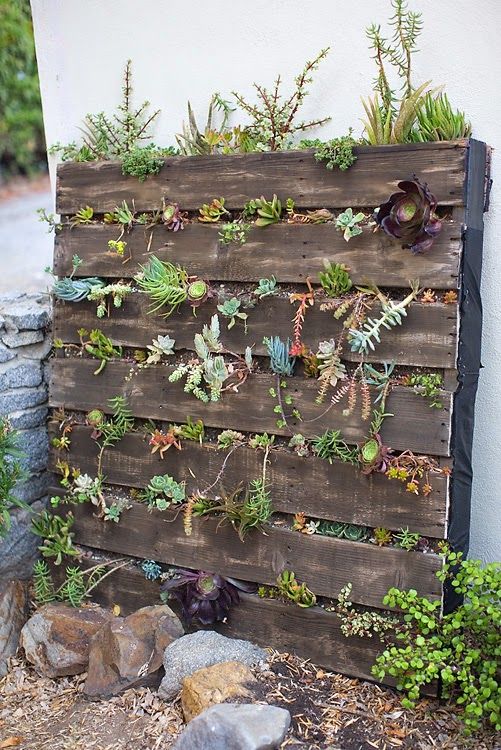 a stained pallet garden with succulents and greenery is a cool rustic decoration for outdoors, add some rocks and pebbles around