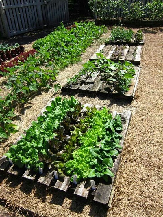 easy to make garden beds of pallets
