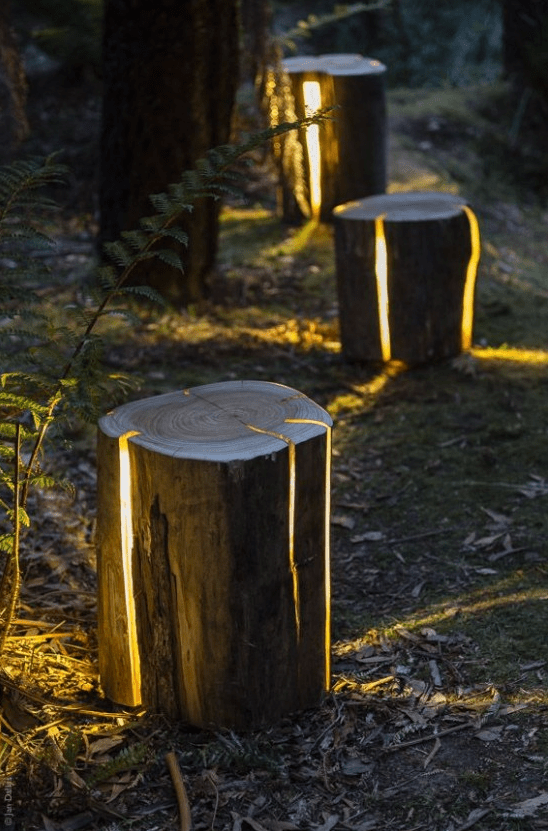 ultra-modern outdoor lights made of old tree stumps look fantastic, this is a natural and modern interpretation of an outdoor lamp plus reusing unnecessary pieces