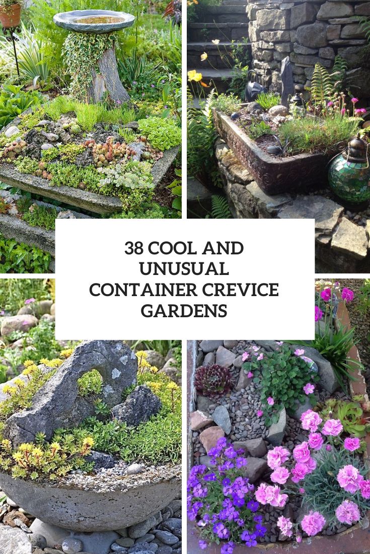 Cool And Unusual Container Crevice Gardens
