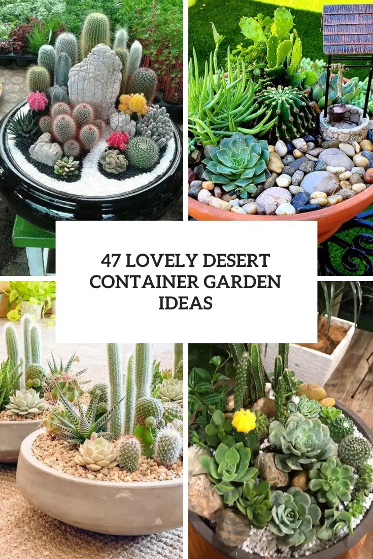 47 Lovely Desert Container Garden Ideas cover