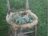 A Succulent Old Chair For A Garden