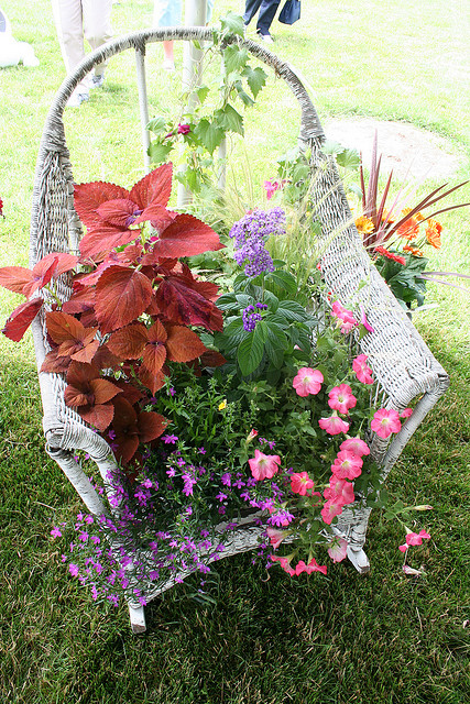 Old vintage wicker turned into a planter (via flickr)