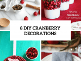 8-diy-cranberry-decorations-cover