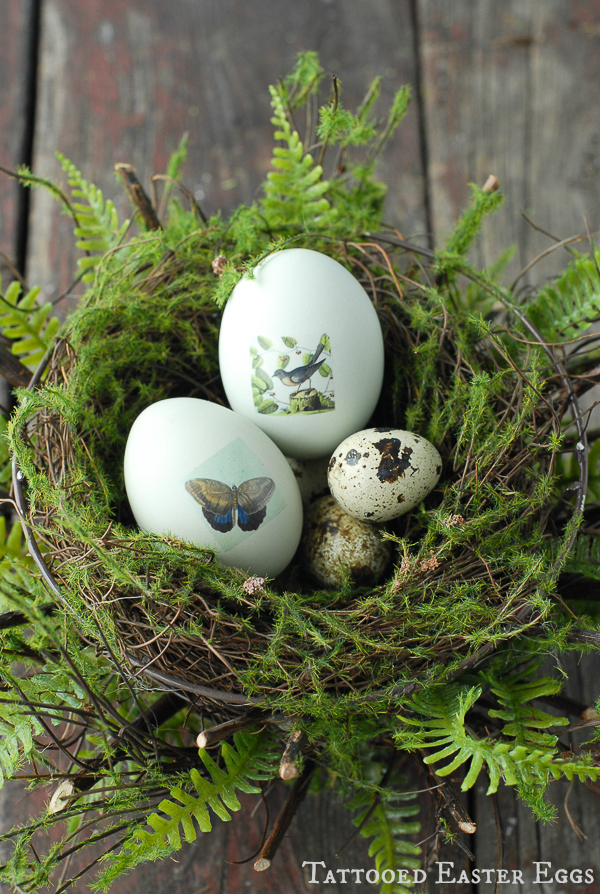 tattooed Easter eggs