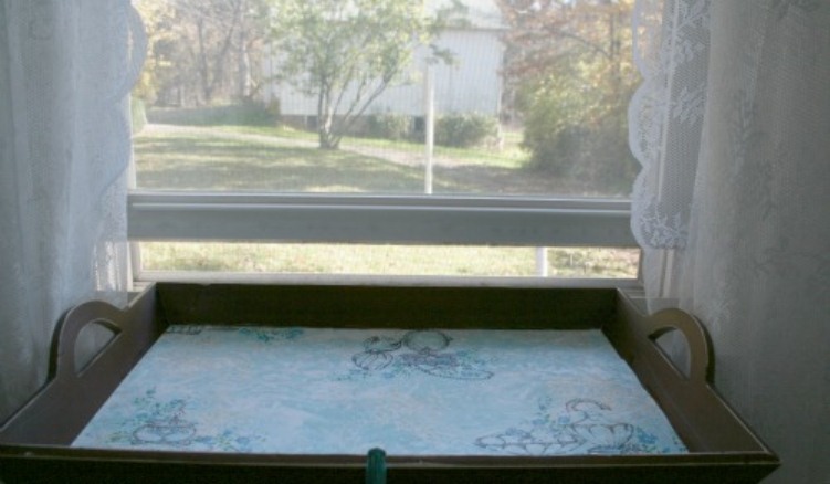 Amazing Diy Cat Window Perch