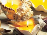 sea shell candles