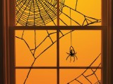 spiderweb windows