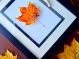 preserving leaves with Mod Podge