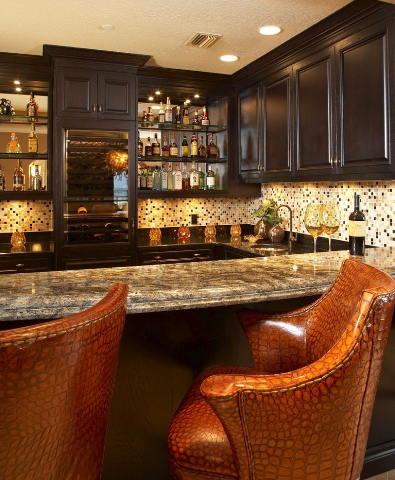 Amazing Home Bar Designs