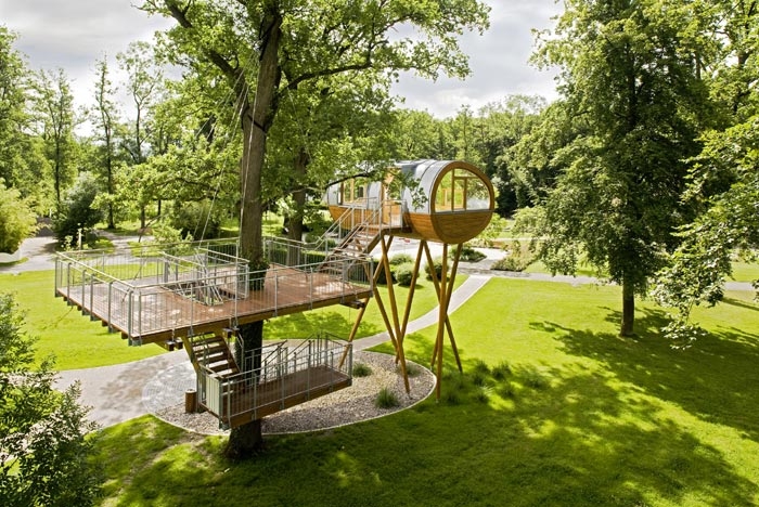 Amazing Tree House Office