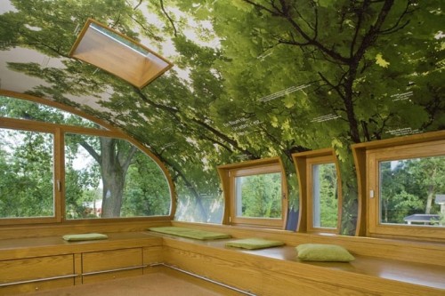 Amazing Tree House Office