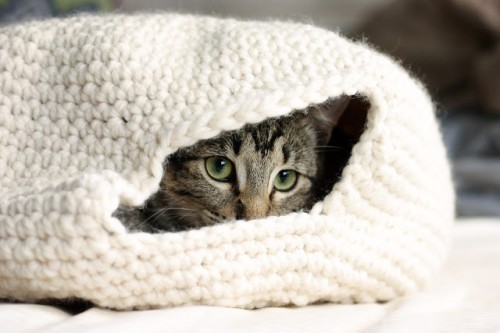 crocheted cat nest (via dappertoad)