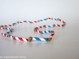 firecrackers necklace