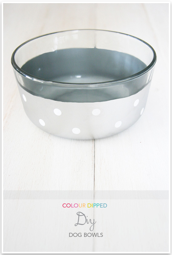 color dipped dog bowls