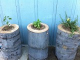 tree stump planters