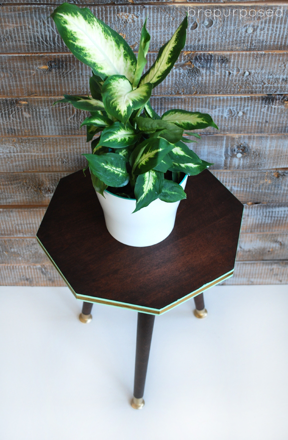 octagon plant stand