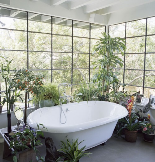 Bathroom With Natural Plants