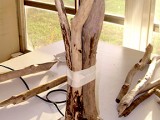 driftwood covered lamp