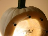 spider nest glowing pumpkin