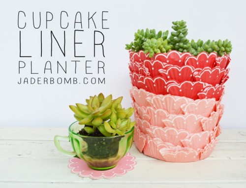 Bright DIY Cupcake Succulent Planters