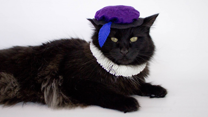 Renaissance cat costume