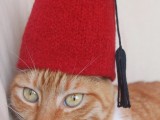 Turkey national hat for a cat