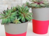 dipped neon pink planters