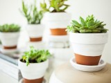 painted pots for succulents
