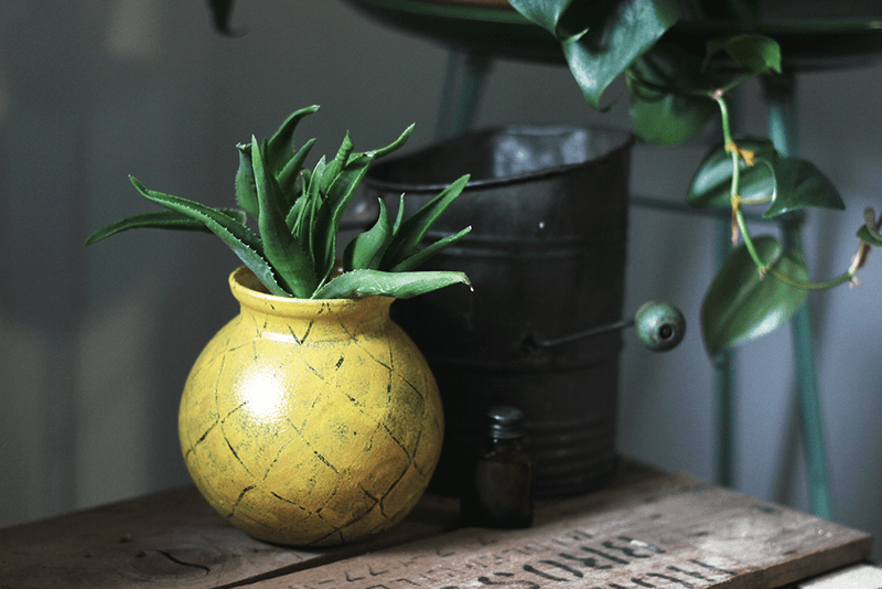 Cheerful Diy Pineapple Inspired Planter