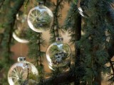 Christmas Tree Ornaments With Living Plants