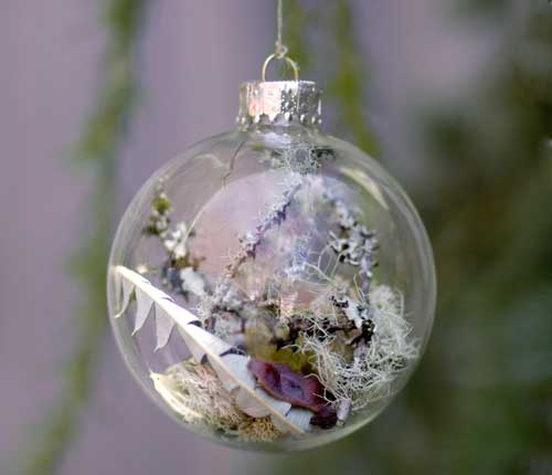 Christmas Tree Ornaments With Living Plants - Shelterness