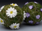 blooming moss ball centerpiece