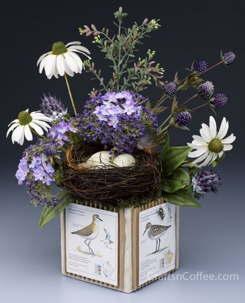 coneflower and bird's nest (via craftsncoffee)