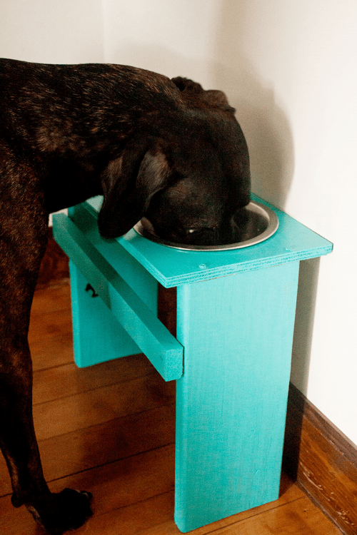 Colorful Diy Dog Bowl Stand