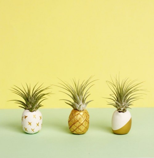 pineapple air plant holder (via smallfriendly)