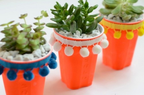 Colorful Handmade Solo Cup Succulents