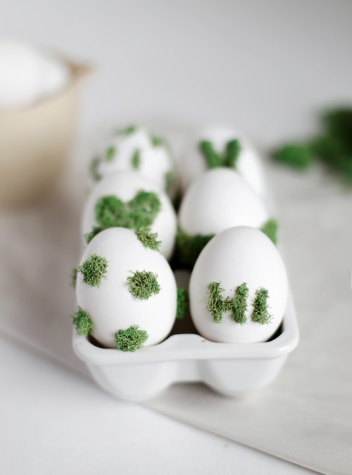 moss eggs design