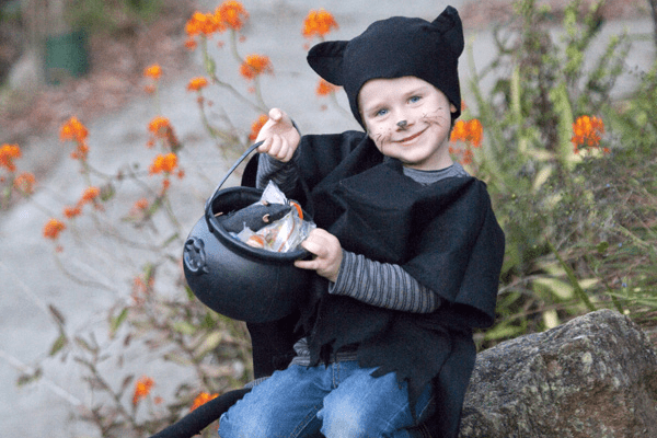 black cat costume