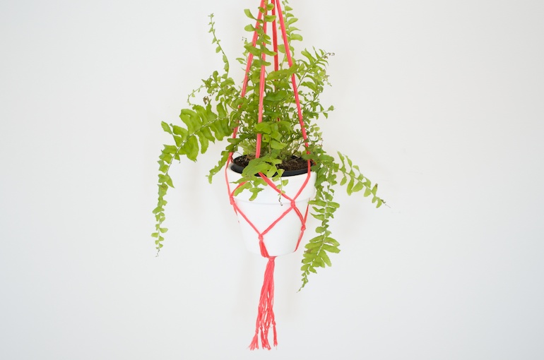 Cool And Simple Diy Macrame Plant Holder