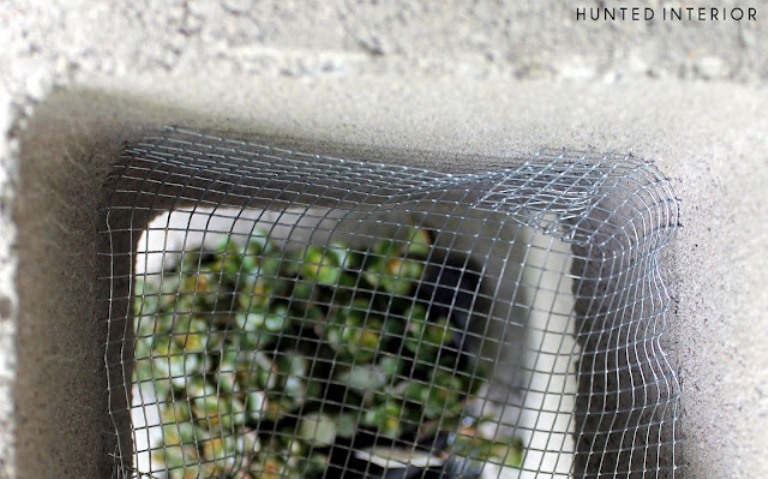 Cool Concrete Blocks For Planting Succulents