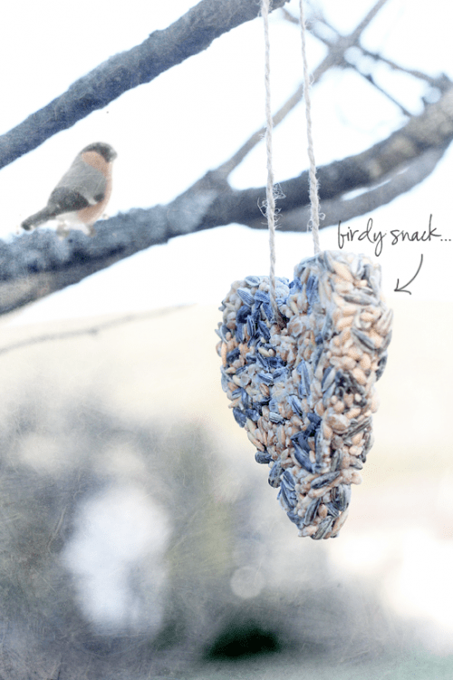 heart treats for birds (via shelterness)