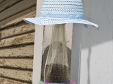 easy to make bird feeder