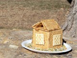 bird house bird feeder