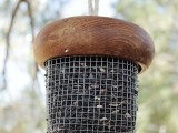 acorn bird feeder