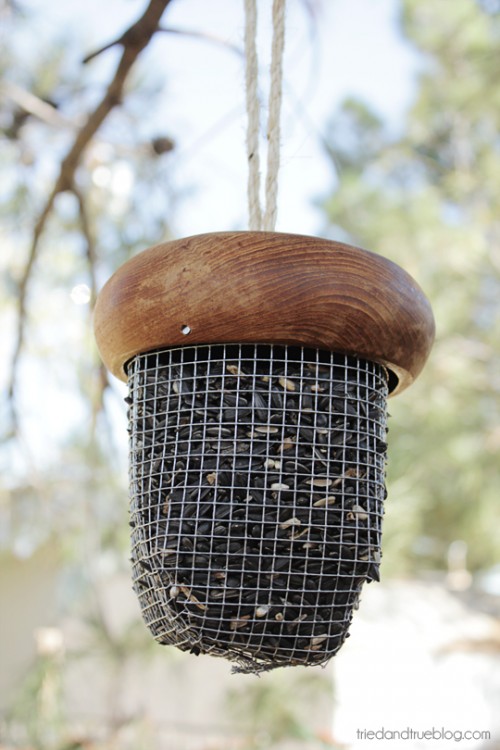 acorn bird feeder (via gerberadesigns)